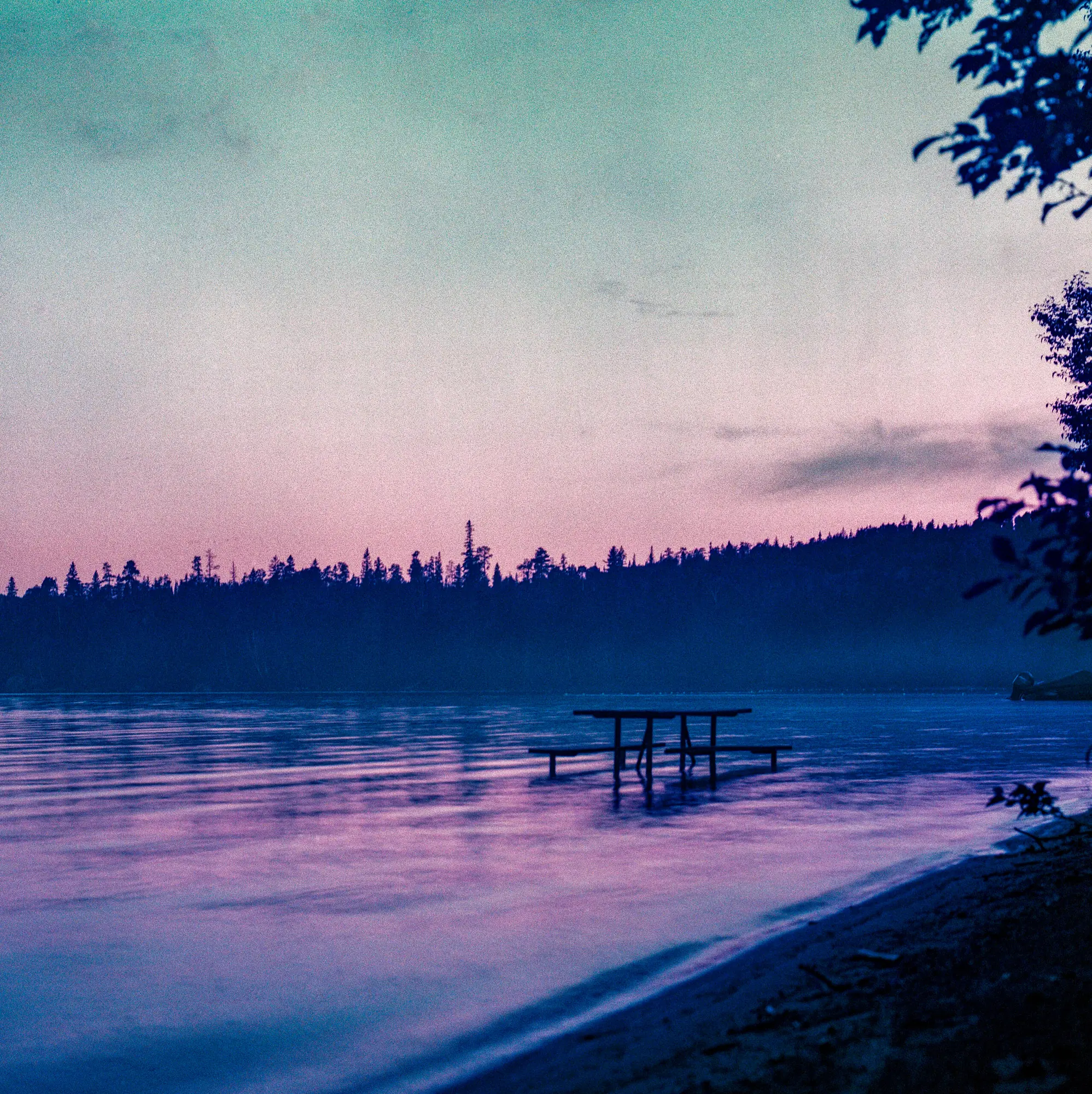 Future Picnic