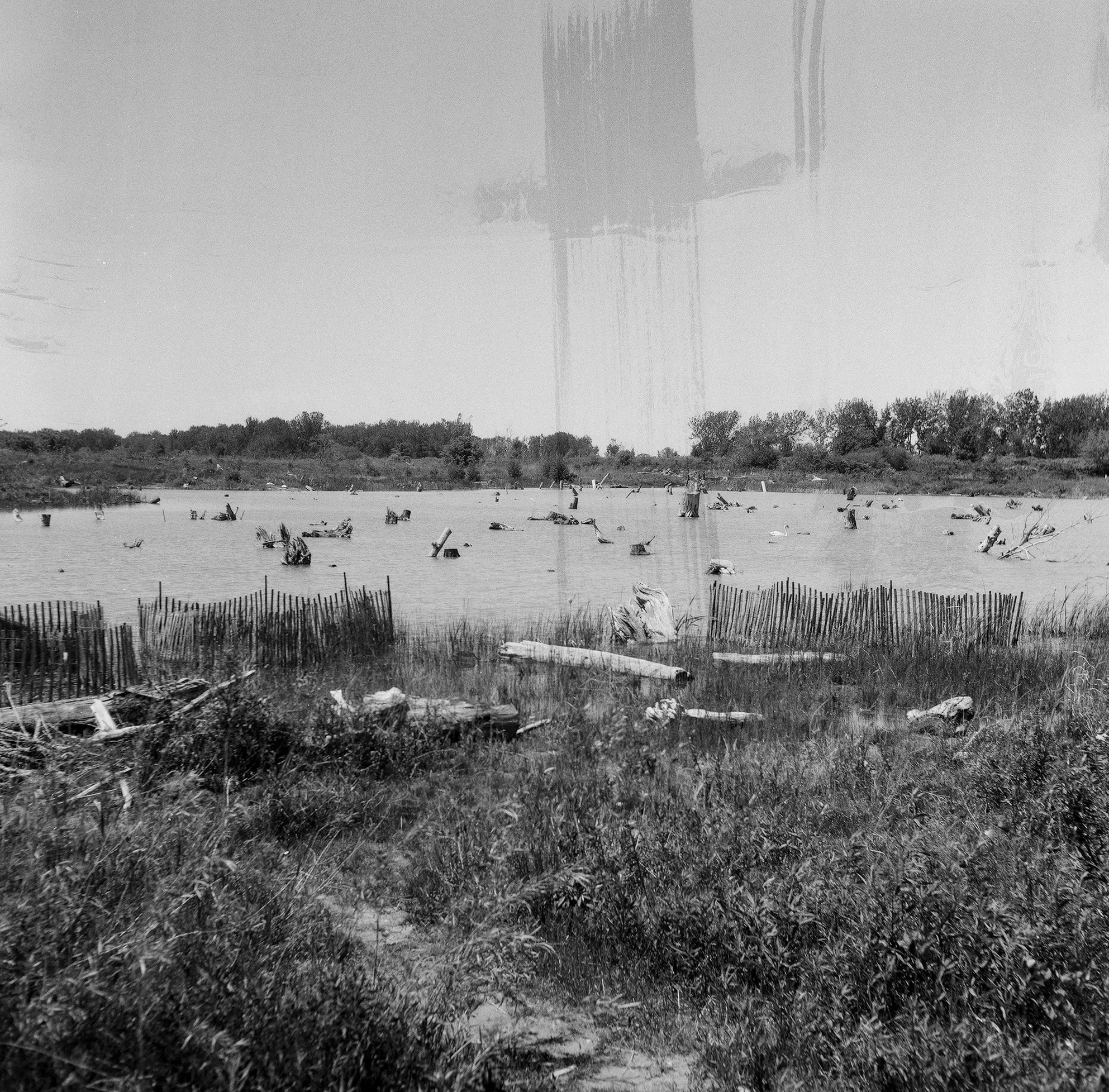 Stump Lake